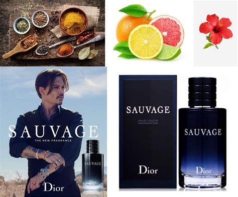 Top 10 Best Perfumes / Cologne For Men In The World | Top Ten Lists