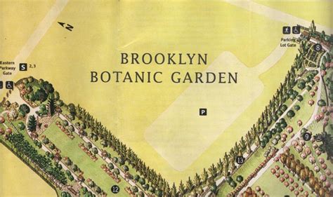 Brooklyn Botanic Garden, Prospect Park, Brooklyn