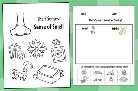 The 5 Senses Archives ⋆ The Hollydog Blog