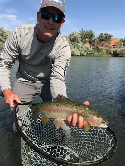 Summer Fly Fishing in Wyoming Wind River and Bighorn River Guide Report ...