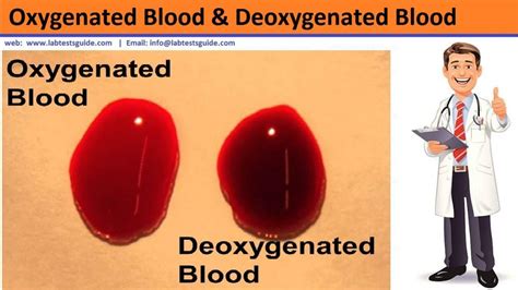 Oxygenated Blood | Lab Tests Guide