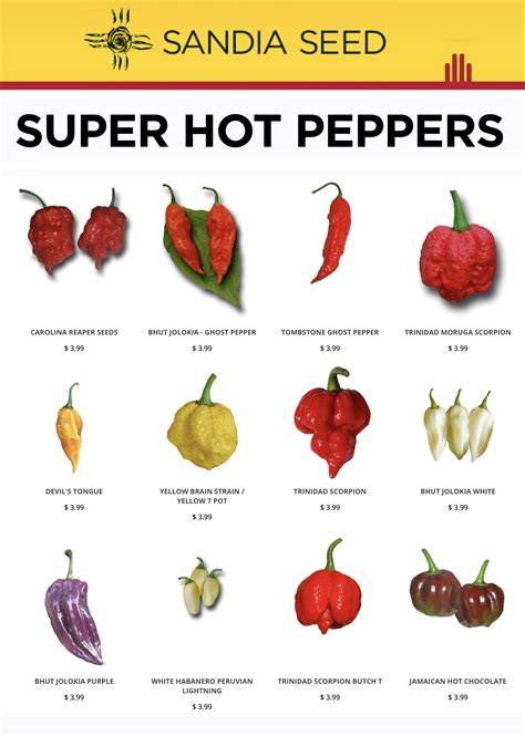 Types of Hot Peppers – Sandia Seed Company