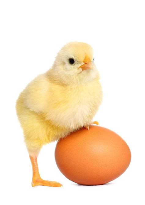 Overcoming the Chicken-and-Egg Problem