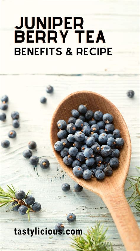 All about juniper berries 11 delicious juniper berry recipes – Artofit