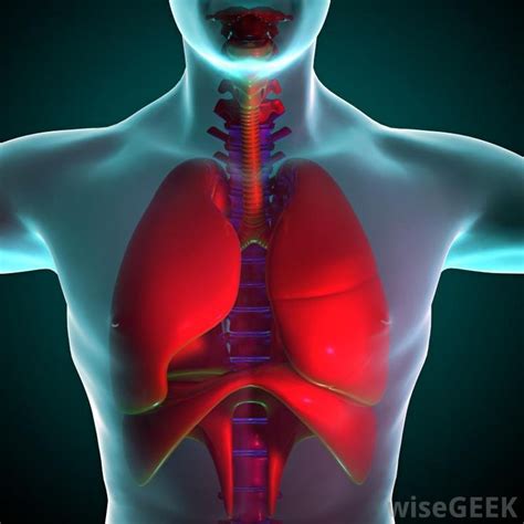 Parenchymal scarring is a type of scarring of the lung tissue. It can be caused by several ...