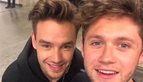 One Direction's Liam Payne and Niall Horan reunite | Newshub