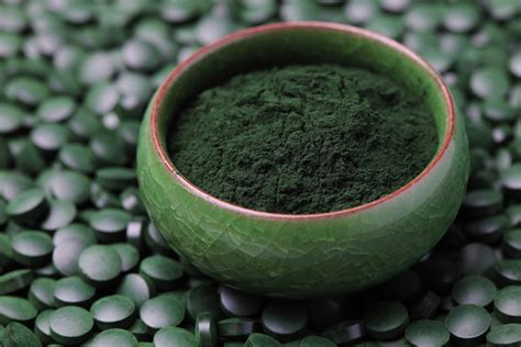 Do You Know the Benefits of Spirulina?