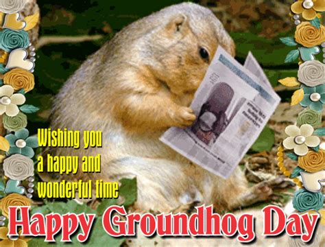 Groundhog, Don’t Retreat To Your Burrow!