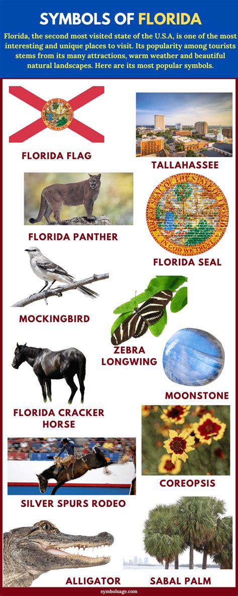 Symbols of Florida (A List) - Symbol Sage