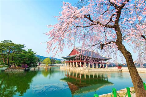 Korea Scenery Wallpapers - Top Free Korea Scenery Backgrounds ...