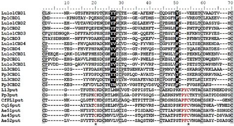 Multiple sequence alignment. Multiple sequence alignment was performed... | Download Scientific ...