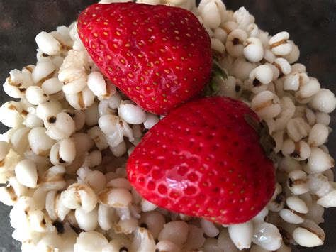 BARLEY CEREAL WITH BERRIES | TCM World