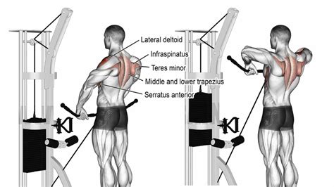 Upright Row: Muscle Worked, Form, Benefits, Variations