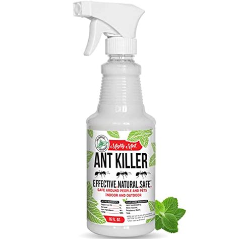 Best Ant Spray Indoor: Keep Your Home Pest-Free