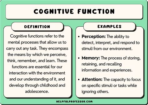 25 Cognitive Function Examples (2025)