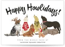 Pet Holiday Cards | Minted