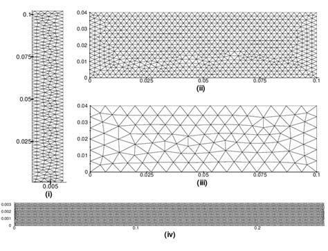 Triangular meshes used for the simulations: (i) created on transformed ...