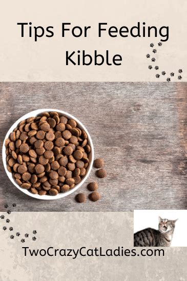 Most of you already know that we do not recommend feeding kibble to your cats unless absolutely ...