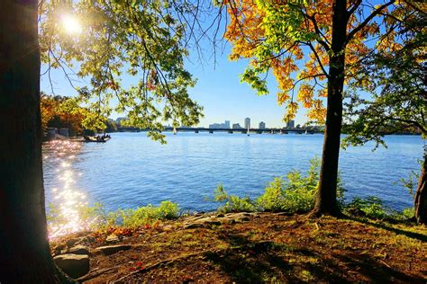 Fall Foliage in & around Boston 2024 - Rove.me