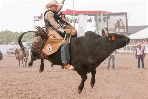 The Rodeo: Bull Riding - Cheyenne Frontier Days