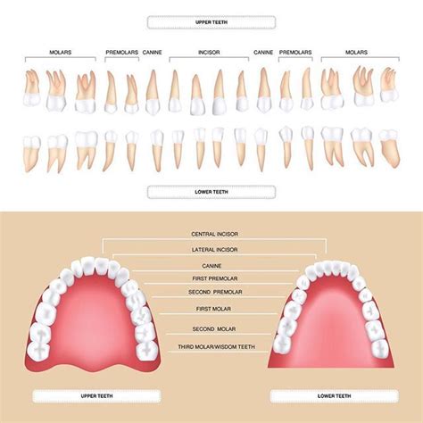 Pin på Follow us on Instagram @SummitDentalHealth