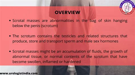 Symptoms of scrotal masses | PPT