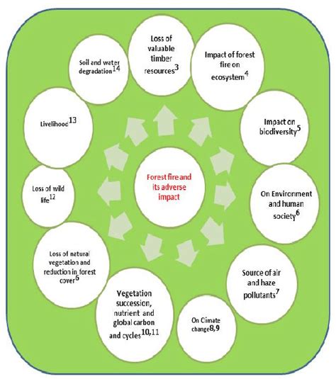 Forest fire and its adverse impact. | Download Scientific Diagram