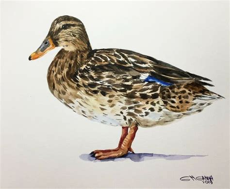 10X8,FEMALE MALLARD DUCK PORTRAIT,WILDLIFE BIRD, ORIGINAL WATERCOLOR ...