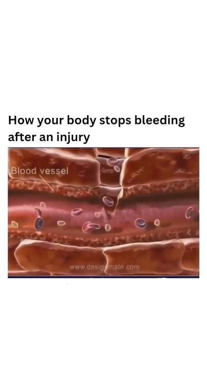 blood clotting animation, #medical, #youtubeshorts #shortfeed - YouTube