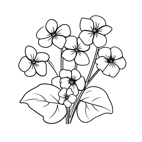 Violet Flower Is Drawn As An Outline Drawing On A White Background ...