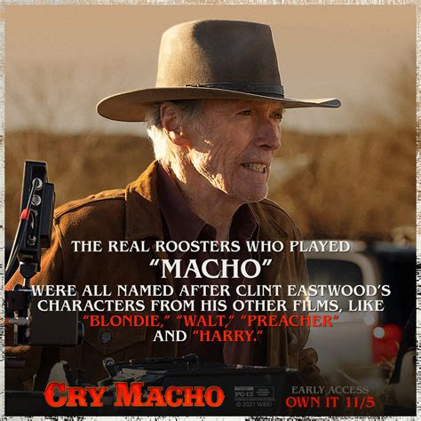 Cry Macho Film (@CryMachoFilm) | Twitter