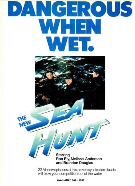 Sea Hunt (TV Series 1987–1988) - IMDb