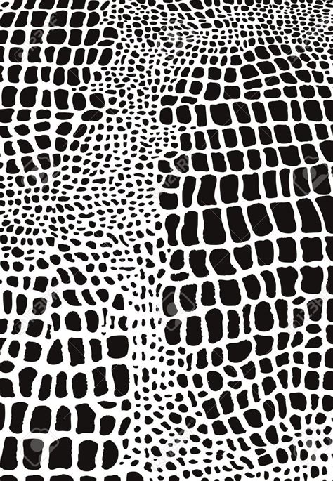 Pattern Snake Texture Vector - Snake Drawing