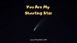 25+ Famous Shooting Star Quotes For Free