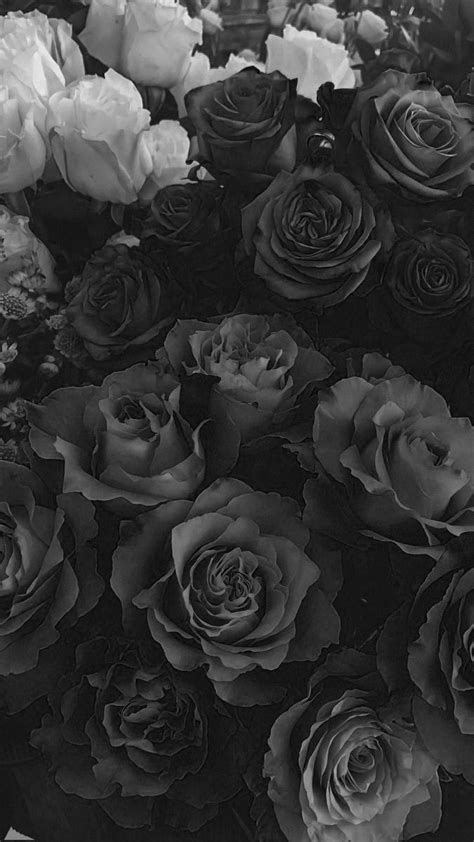 Black Roses Wallpaper, Glittery Wallpaper, Vintage Flowers Wallpaper ...