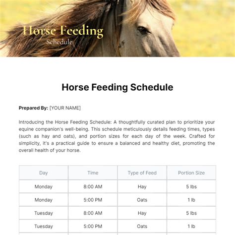 Horse Feeding Schedule Template - Edit Online & Download Example | Template.net