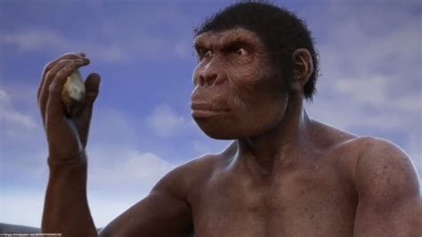 Evolution from ape to man. From Proconsul to Homo heidelbergensis Realtime YouTube Live View ...