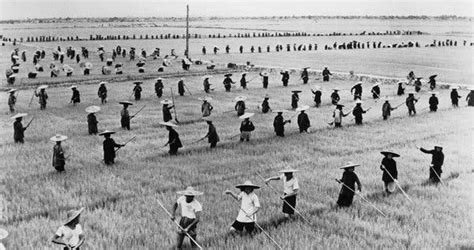 ‘Tombstone: The Great Chinese Famine, 1958-1962,’ by Yang Jisheng - The New York Times