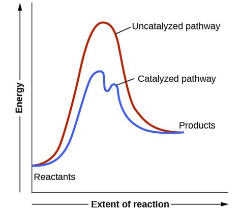 Catalysis | Chemistry for Majors