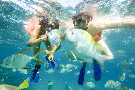 Cabo Snorkeling Tours - Best Tours in Cabo by Esperanza's Tours