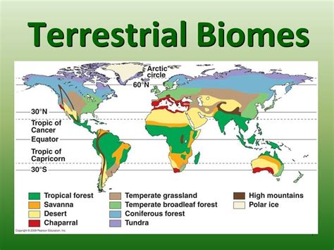 Image result for biomes