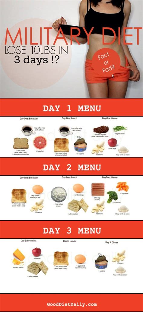 After the 3 Days of the Military Diet – the 4 Days Off | The 3 Day Military Diet - What ...