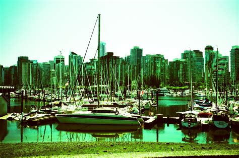 Stanley Park Seawall - Going Lomo