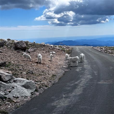 Summit of Mount Evans in Mt. Evans, CO