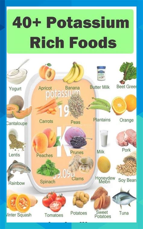 What Foods Are High In Potassium – Idalias Salon