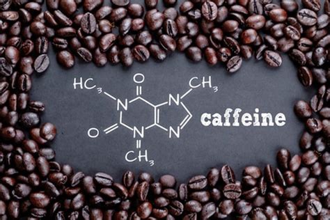 Caffeine calculator – Calculate your daily caffeine intake • Teafolly