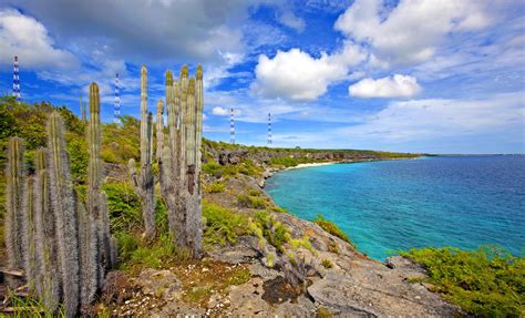 Discover Bonaire and Beach Club | Bonaire Shore Excursions | Caribbean Cruise Tours