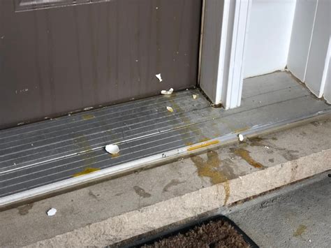 London family fearful after house gets egged for third time | CBC News