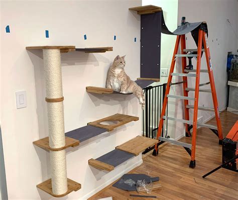 Cat shelves bridge Cat Bridge Cat wall furniture Cat shelves wall Cat ...