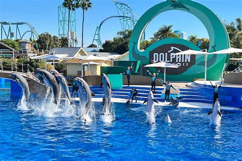 Best SeaWorld San Diego Shows and Attractions